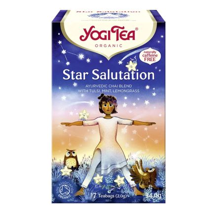 BIO Csillagüdvözlet tea 17x1,9g Yogi Star Salutation