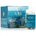 Gal Multivitamin 30 adag
