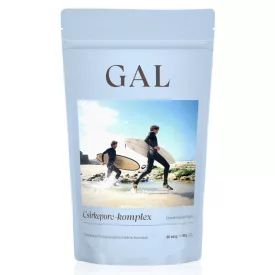 GAL Csirkeporc-komplex 90g ÚJ