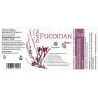 Freyagena Balance Bartha Fucoidan kapszula 30 db