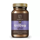 Myrobalan UriDag hólyaghurut elleni 60db gyógynövény komplex kapszula